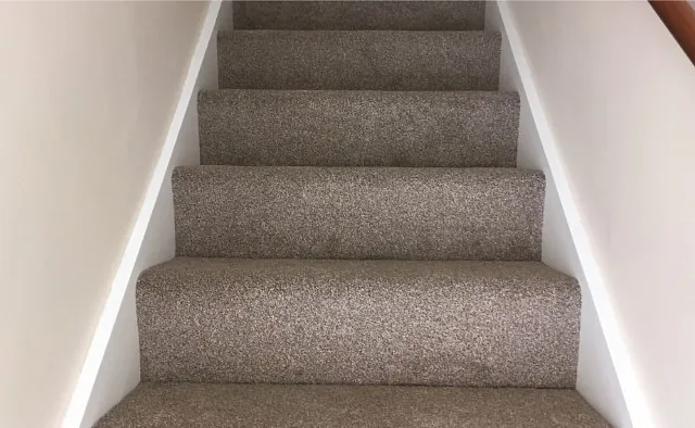 carpet and stairs